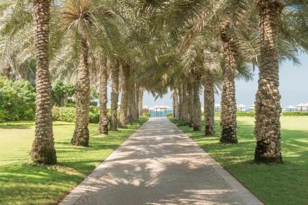 Coral Beach Resort Sharjah - 61