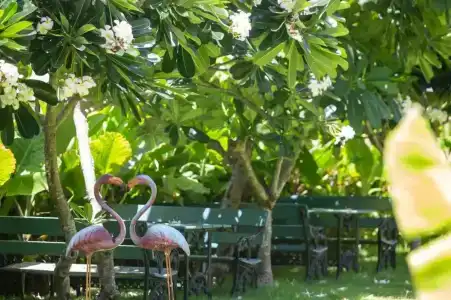 Sabai Inn - 39