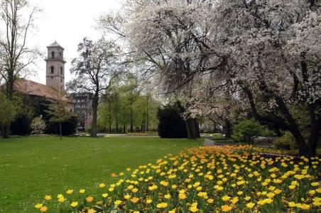 Ambient am Europakanal - 22