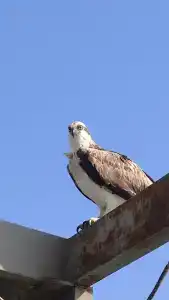 Sea Beach Aqua Park Resort - 64