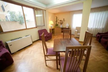 Vibra Palma Cactus - 62