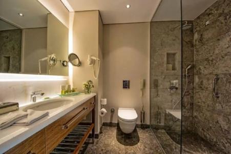 Crowne Plaza Istanbul Oryapark, an IHG - 15