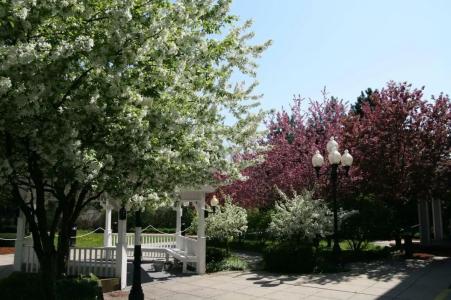 Hampton Inn Burlington - Colchester - 9