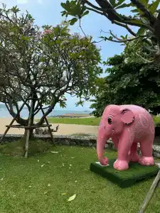 Dusit Thani Pattaya - SHA Extra Plus - 25