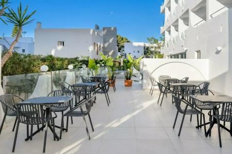 Vibra Palma Cactus - 25