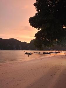 Phi Phi Andaman Legacy Resort-SHA Plus - 15