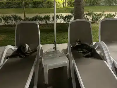 Swandors & Resorts - Kemer - 77