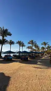 Continental Hurghada - 98