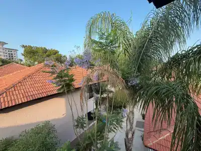 ROBINSON CAMYUVA - Adults only - 81