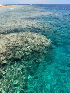 Sunrise Remal Beach Resort - 49