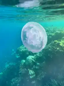 Sheraton Sharm, Resort, Villas & Spa - 57