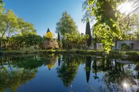 Du Lac Et Du Parc Grand Resort - 3