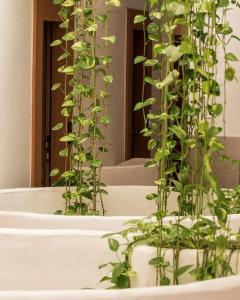 Approdo Resort Thalasso Spa - 27