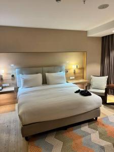 Holiday Inn Ulaanbaatar, an IHG - 41