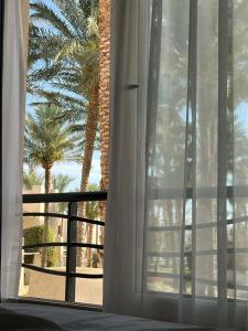 Grand Rotana Resort & Spa - 27