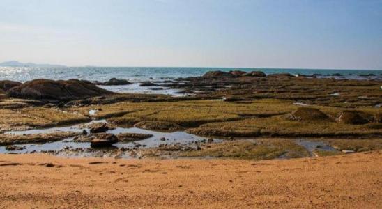 KTK Pattaya & Residence - 28