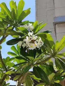 Media Rotana Dubai - 47