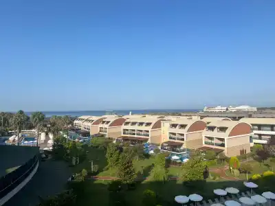 Tuı Magic Life Jacaranda - 23