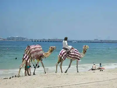 Hilton Dubai The Walk - 7