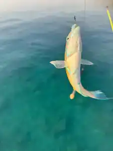 Rixos Sungate - The Land of Legends Access - 96