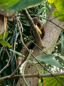 Sunshine Garden Resort - SHA Extra Plus - 66