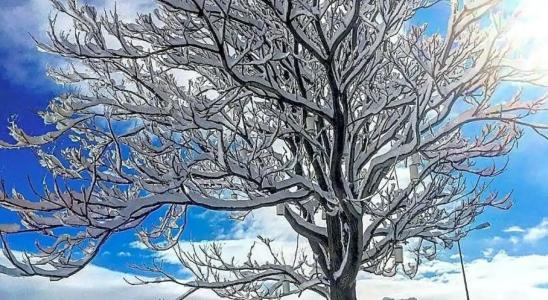 Wish Cappadocia - 96