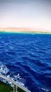 Safir Sharm Waterfalls Resort - 39