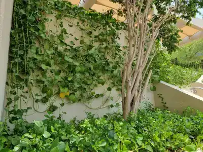 Hilton Garden Inn Ras Al Khaimah - 72