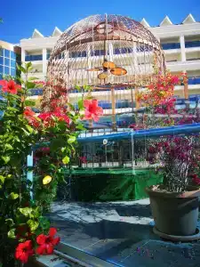 Delphin BE Grand Resort - Ultra All Inclusive - 30