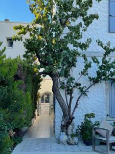 Vintage Alacati - 53