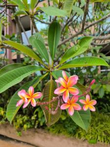 Novotel Phuket Vintage Park Resort - 34