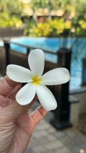 Anantara The Palm Dubai Resort - 67