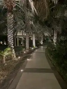 Raffles The Palm - 50