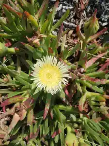 Vikingen Infinity Resort & Spa - 89