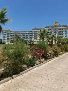 Selectum For Two Side - 24