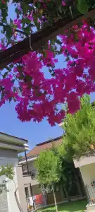 Club Turan Prince World - Kids Concept - 93