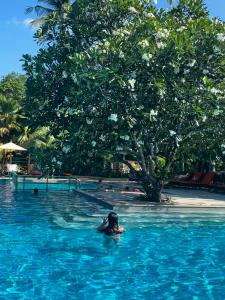 New Star Beach Resort - 28
