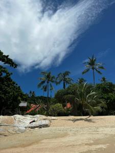 New Star Beach Resort - 26