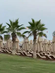 Calista Luxury Resort - 38