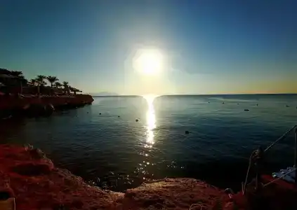 Grand Oasis Resort - 38