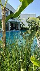 Paloma Finesse Side - 24