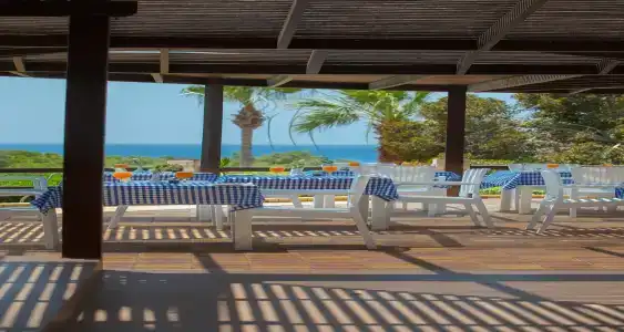 Cyprotel Florida - 23