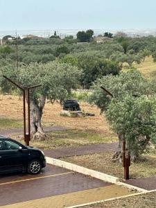 CVK Park Bosphorus Istanbul - 45