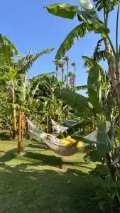 Kefaluka Resort Ultra All Inclusive - 66