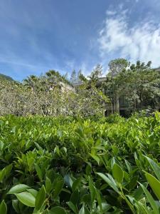 Twinpalms MontAzure - 15