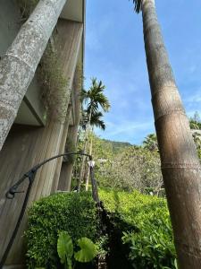 Twinpalms MontAzure - 13