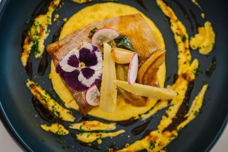 THB Los Molinos Adults Only - 95