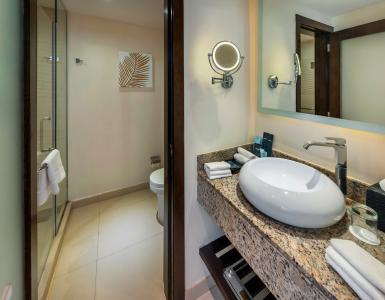 Royalton Punta Cana, An Autograph Collection All-Inclusive Resort & Casino - 28