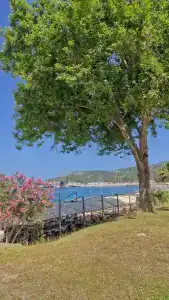 Ambassador Plaza - 68