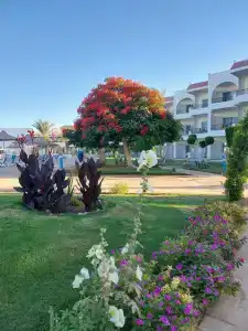 Labranda Club Makadi - 17